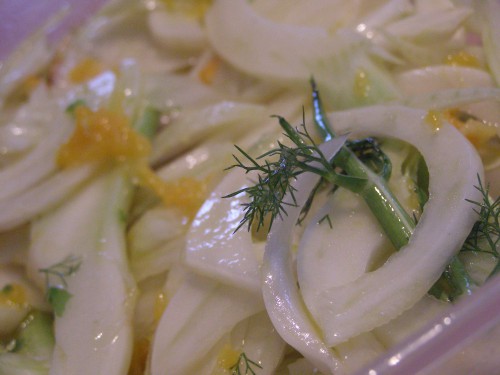 fresh fennel and orange salad