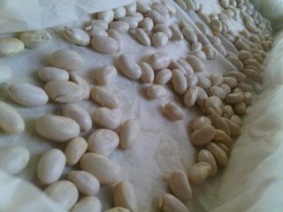 food processor pastry