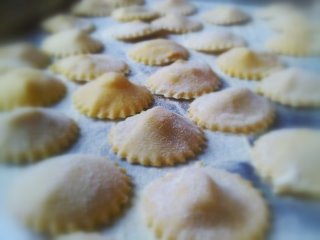 egg pasta ravioli 320