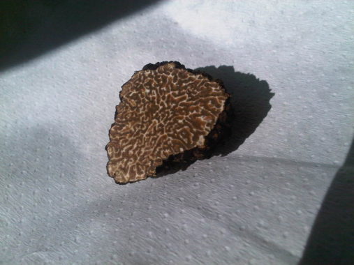 inside a black truffle