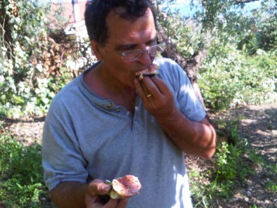fresh figs