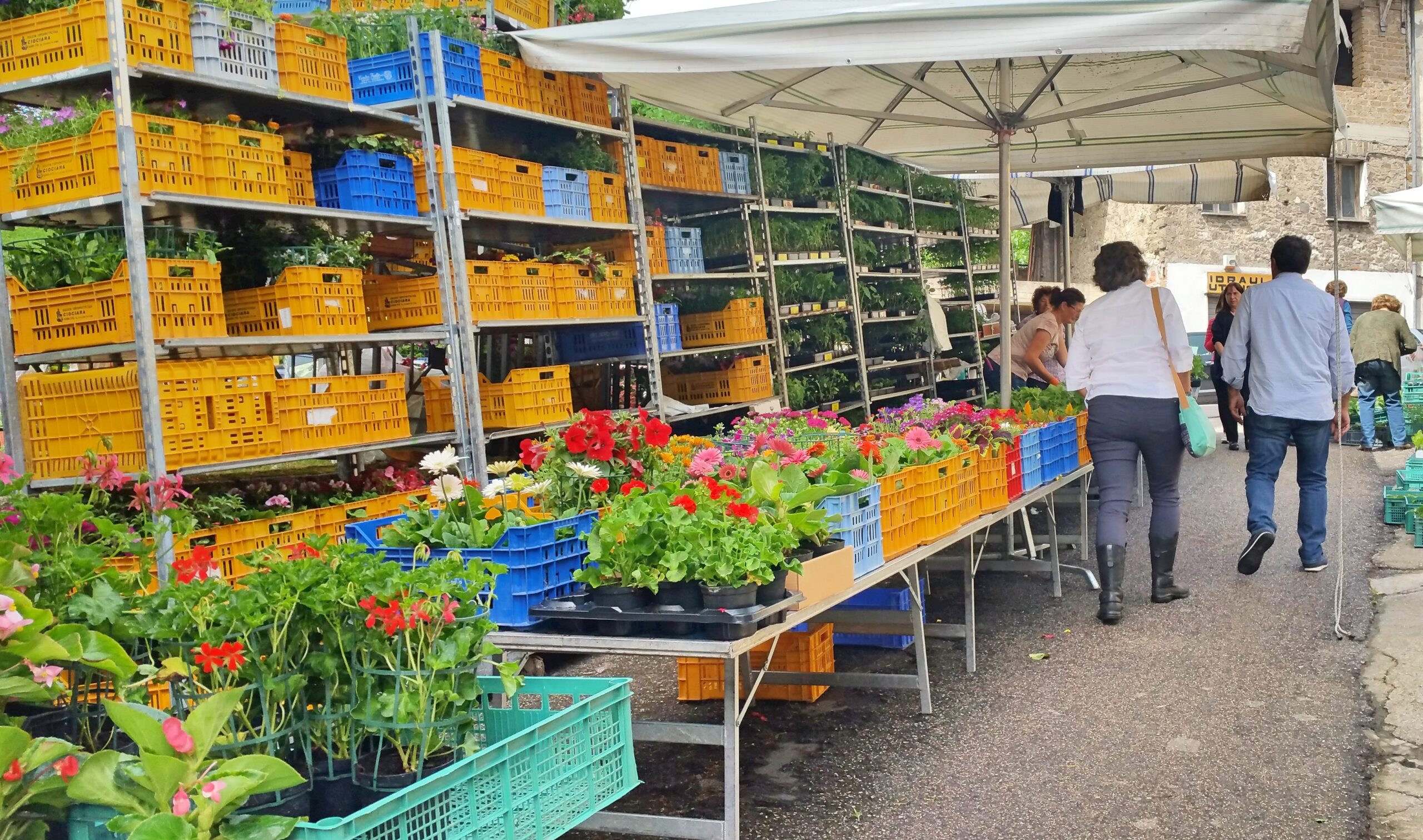 Living in Italy and going to the market